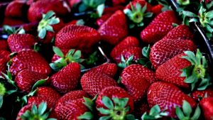 strawberry-629180